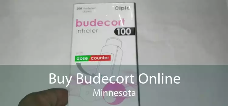 Buy Budecort Online Minnesota